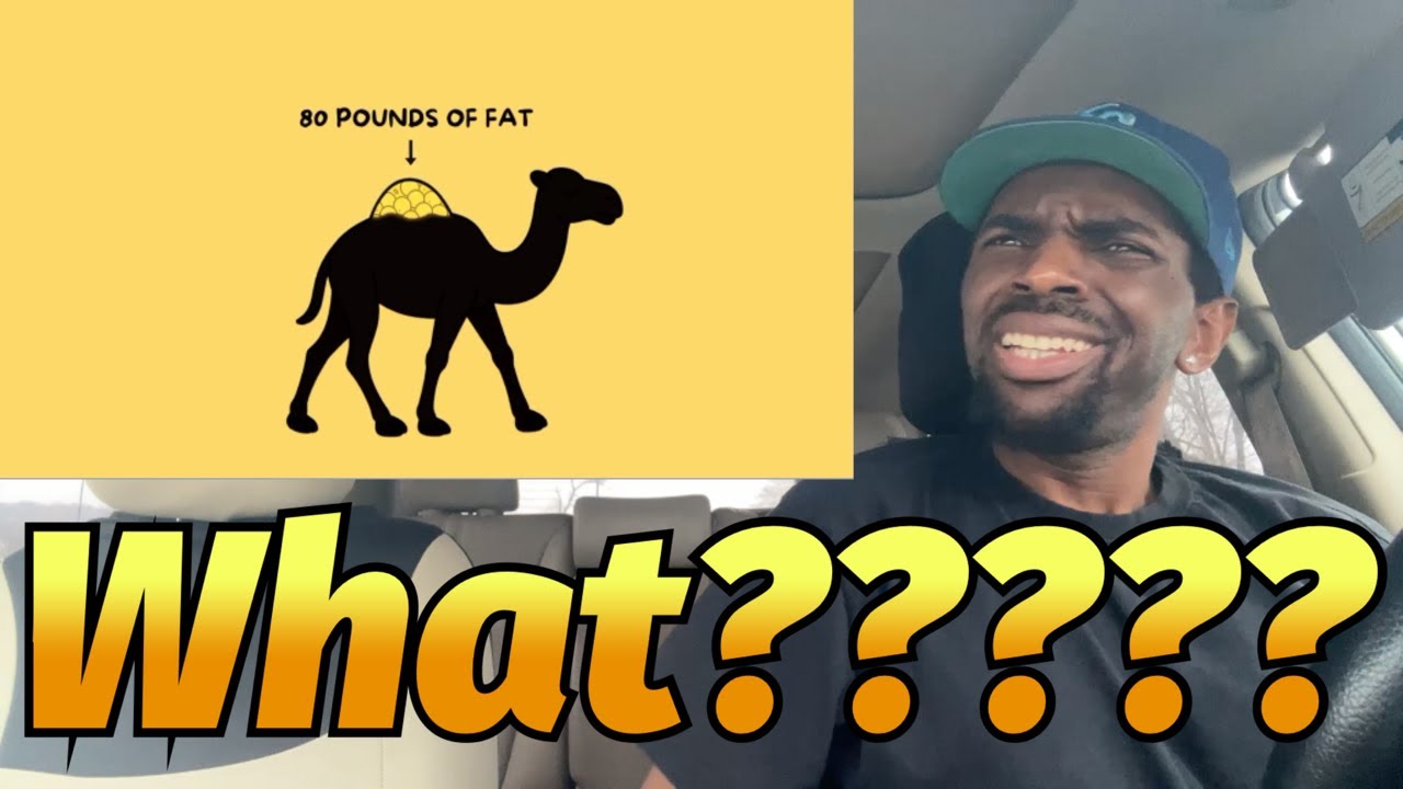 Совершенно неверные факты, в которые все до сих пор верят. РЕАКЦИЯ