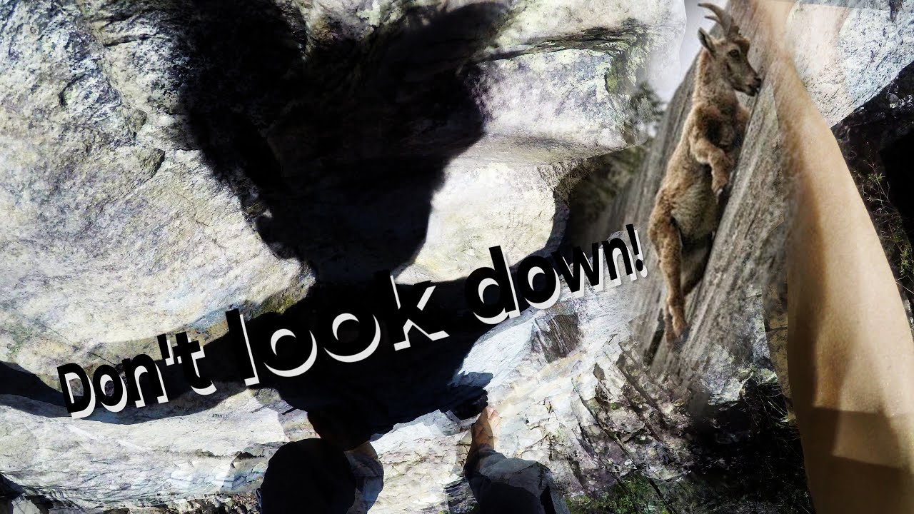 Mount Tibrogargan Summit Route Full Return Climb (First Person View)