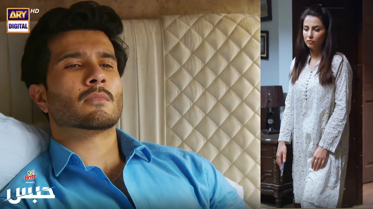 Sab pas tha, par tu na raha #ushnaShah #ferozekhan #Habs