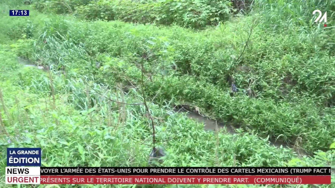 LIVE DE GABON 24