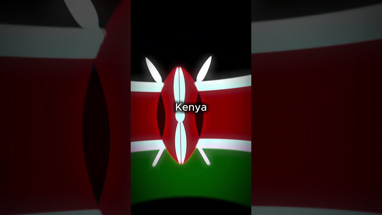 Countries & their War Flags Pt.3 (Africa) #war #countries #edit #africa
