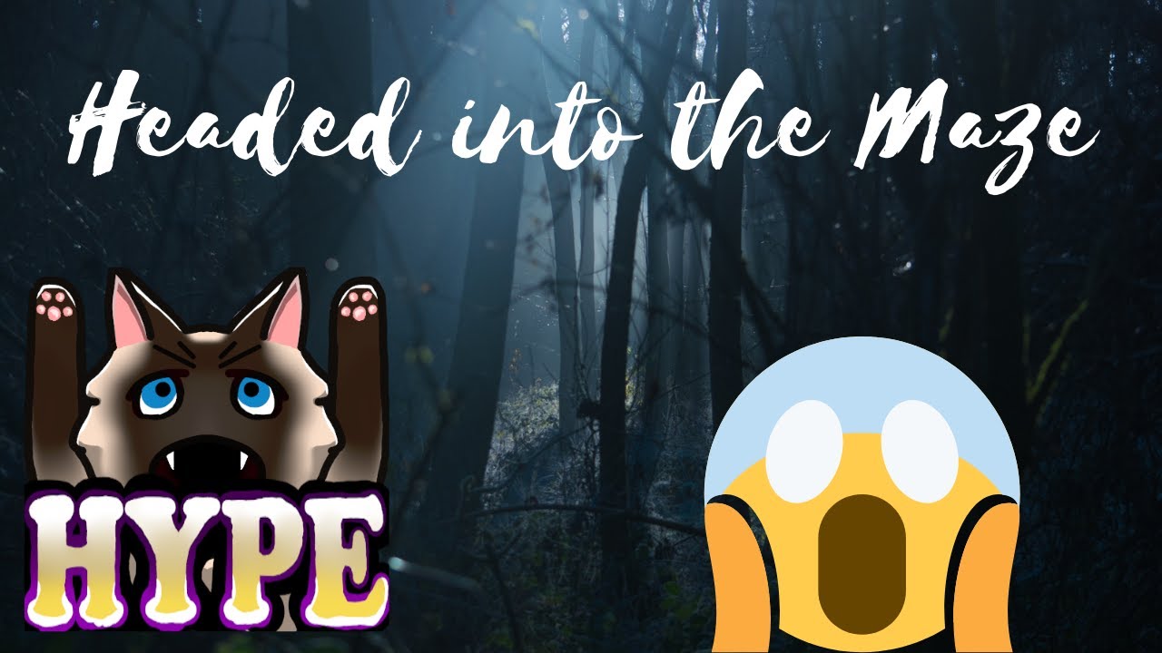 Headed Into The Maze! Labyrinthine (FULL GAME)