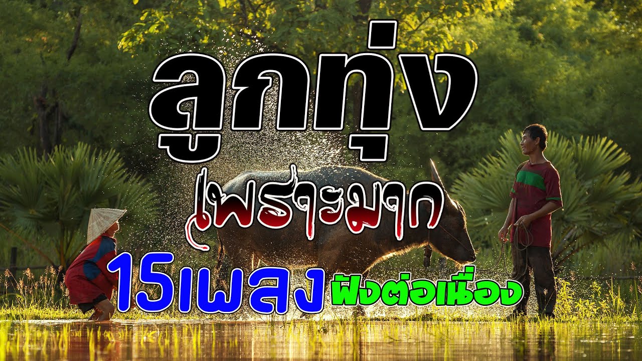 ลูกทุ่งเพราะมาก คัดมาพิเศษ : 15เพลงฟังต่อเนื่อง