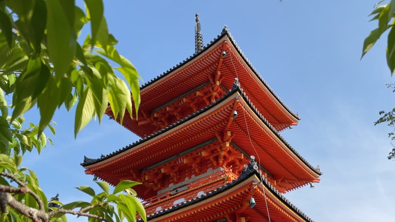 Late Spring in Japan 2025 🇯🇵 | Osaka, Kyoto & Tokyo