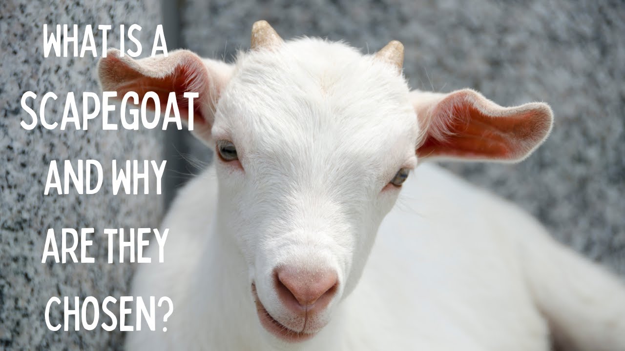 What is a Scapegoat and Why are they Chosen?