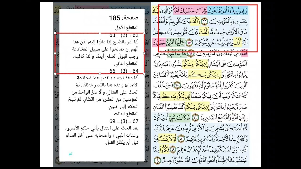 تفسير سورة الأنفال ( 185+186 )