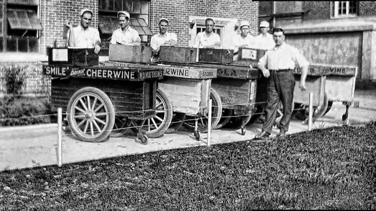 Kannapolis: from Cotton to Chromosomes.