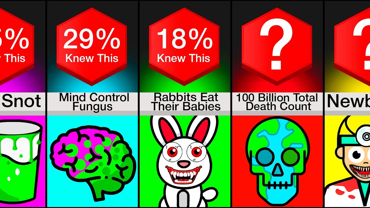 Comparison: I Bet These Facts Will Scare You
