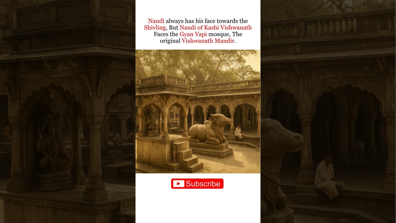 Why Nandi Faces Gyan Vapi Mosque? #shorts #sanatandharma #nandi #bholenath