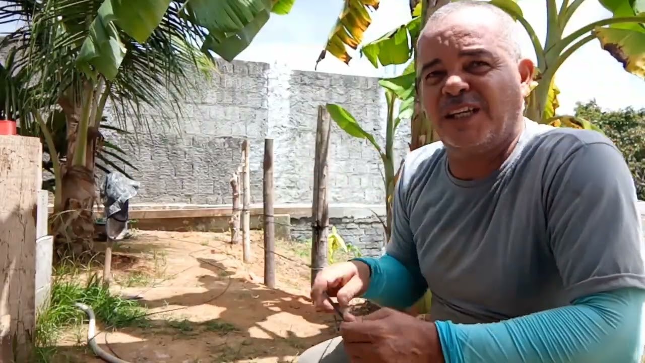 Fazendo uma cerca para plantar favas 