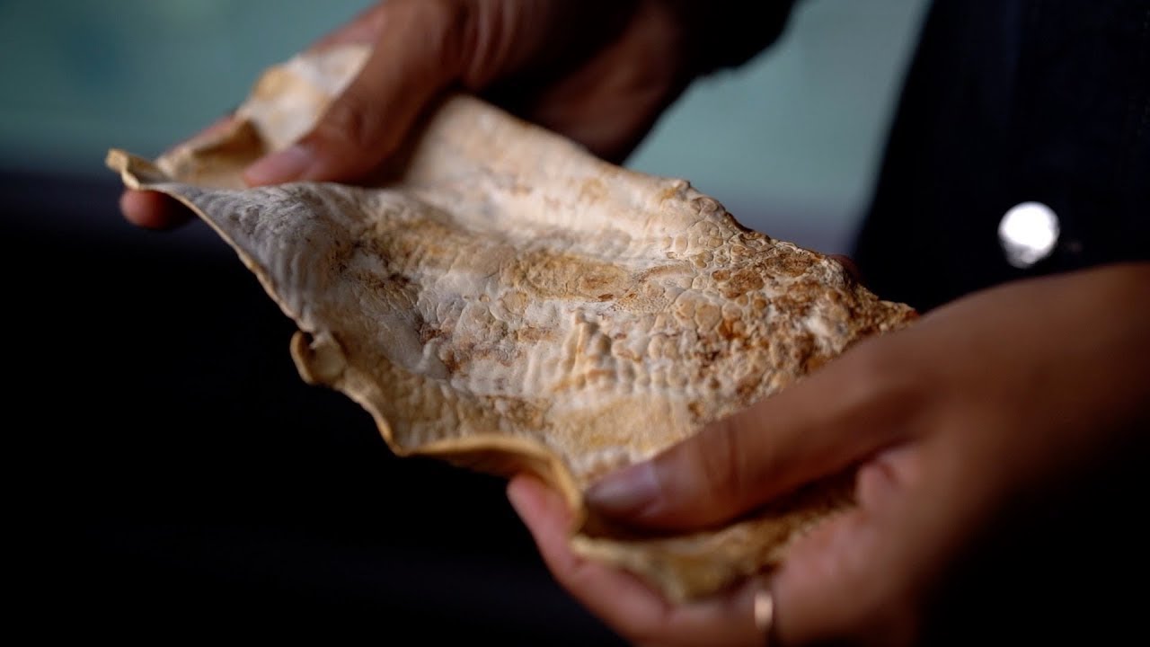New materials and new technologies in Fashion with Annah-Ololade Sangosanya - @aos_studio