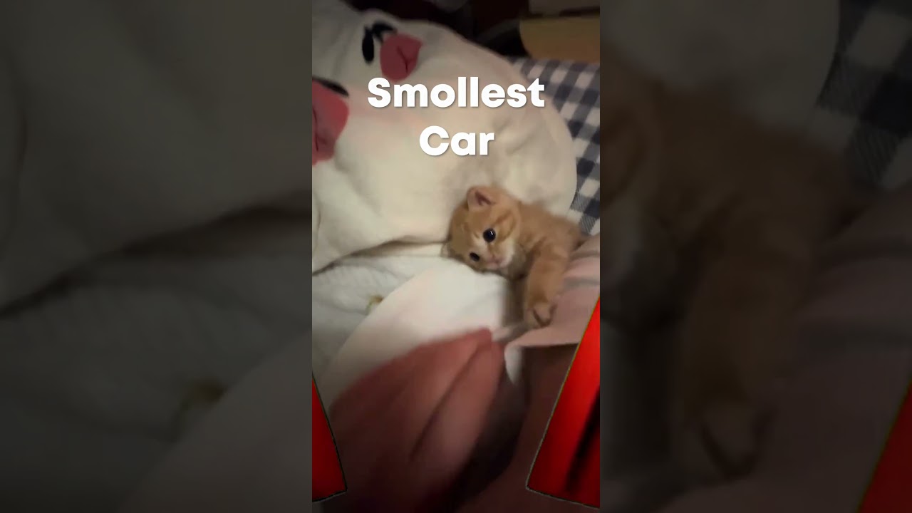 Car Of The Week