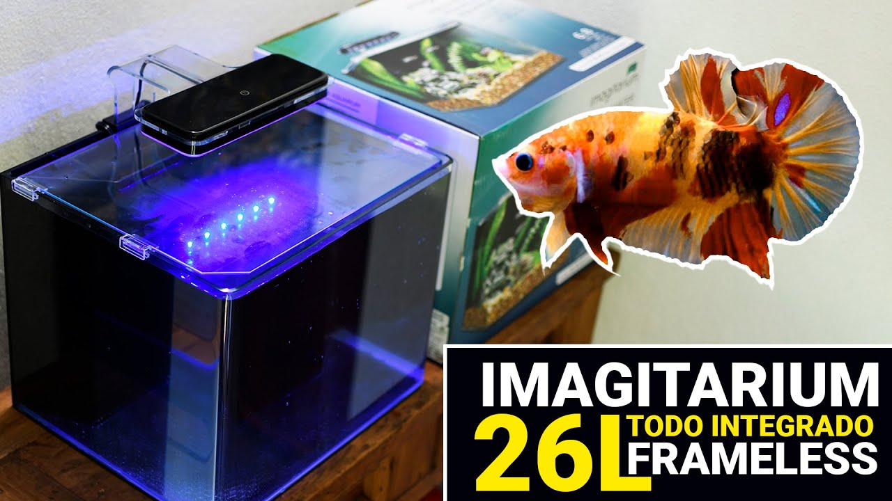 El nuevo NANO ACUARIO para el BETTA | Unboxing y primeras impresiones