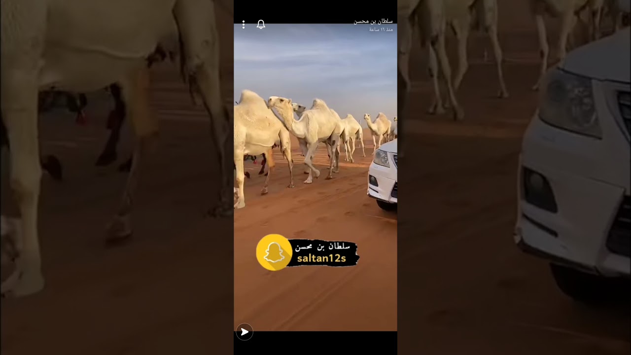 تلاد سلطان بن محمد الحاصل على المركز الأول شوط العشرين تلاد