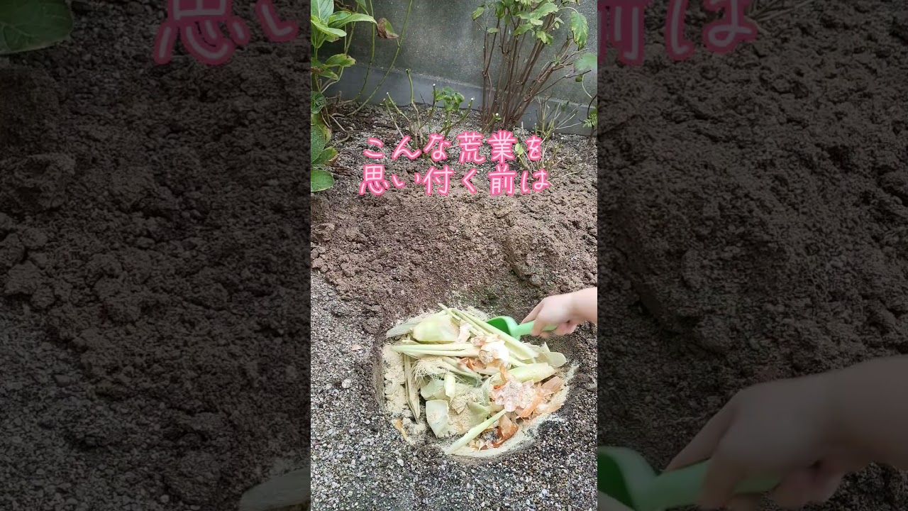生ゴミを埋めて土質を改善できるかな？4回目！コンポストは私に向いてないのかもしれない