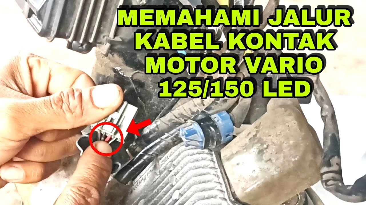 CARA MEMAHAMI JALUR KABEL KONTAK MOTOR HONDA VARIO 125/150 LED