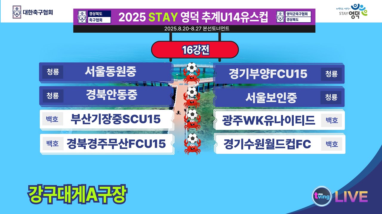 [강구대게A구장] U14 16강전 라이브중계 I 2025년8월23일(토) 17:00 I #2025STAY영덕추계U15축구대회