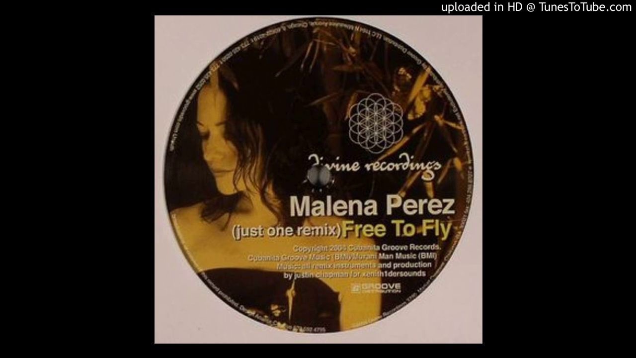 Malena Perez - Free to Fly (just one remix)