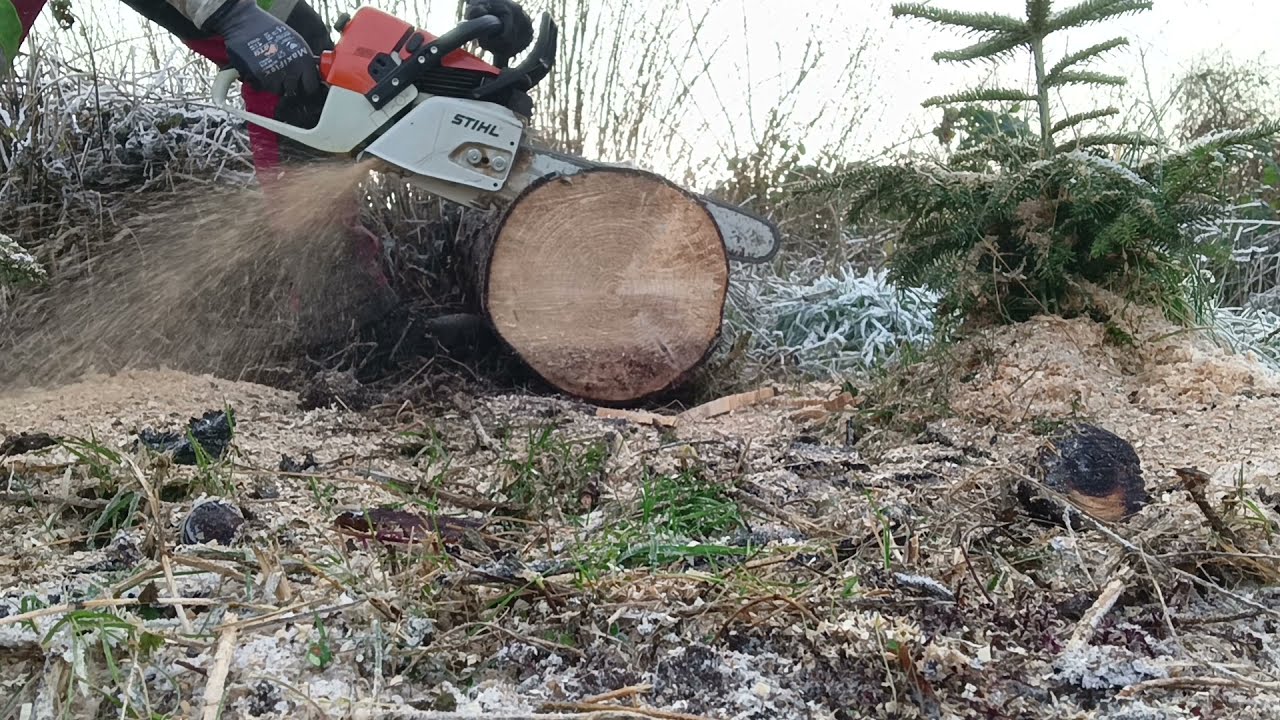 Vergleich/ Comparison Stihl MS 361, Dolmar PS 5000, Husqvarna 346 XP new, MS 260, MS 261 CM & 026