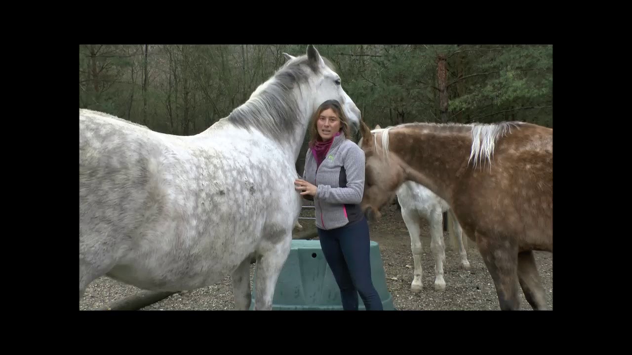 Lezione 1, video 2 Diventare Amici