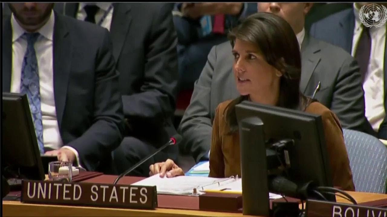 UN Security Council Emergency Meeting on Chemical Weapons Use in Syria