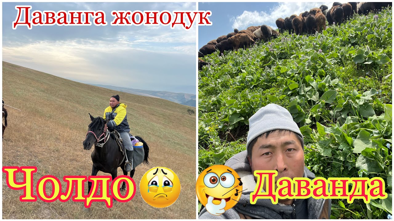 ⛈️🌦️🏔️Койчулар жашосу кандай отот // 10-кундук жол даван ашу@BARPYKG