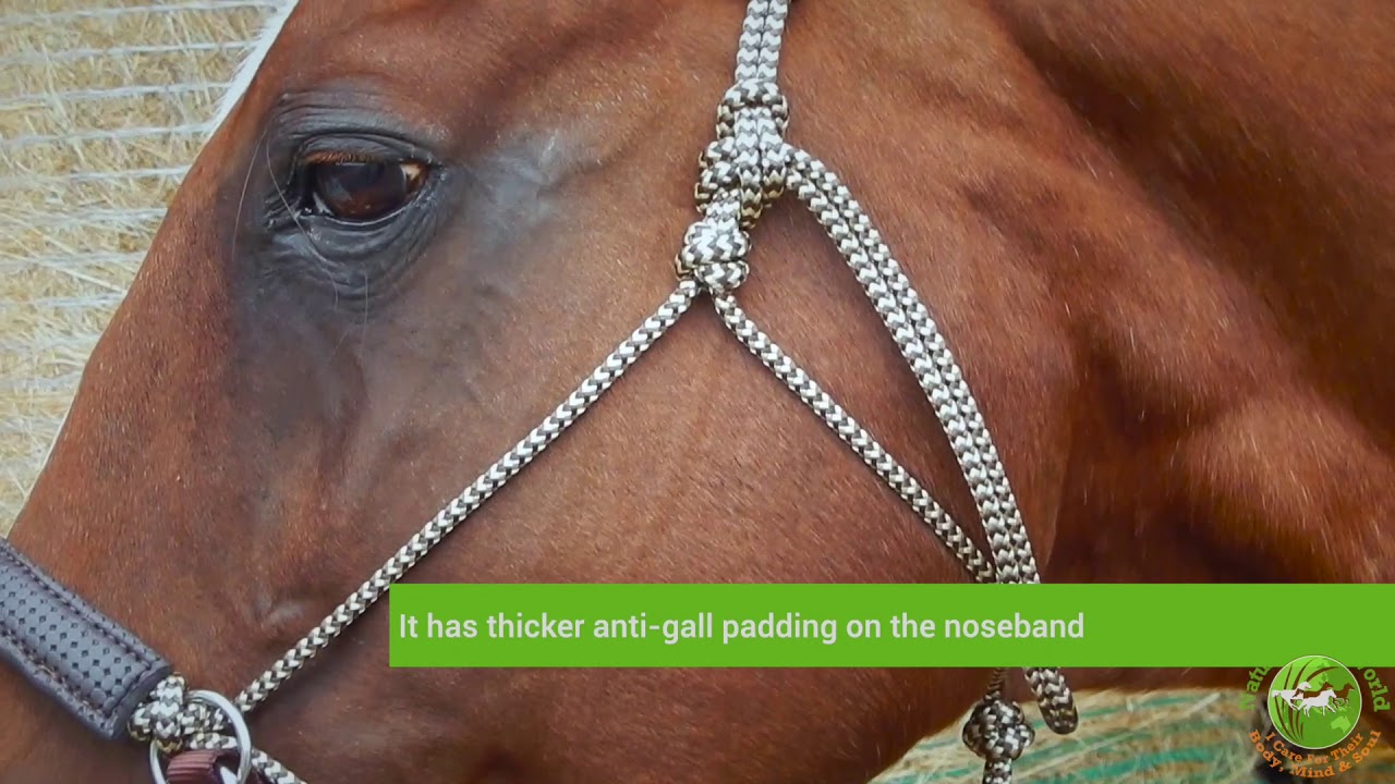 LightRider Rope Performer Bitless Bridle