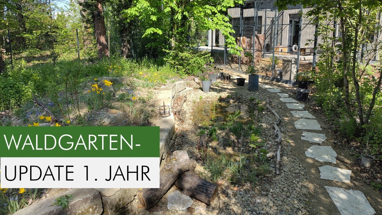 Update! Waldgarten XXL - 1200 Pflanzen & 15.000 Zwiebeln – 1 Jahr später!