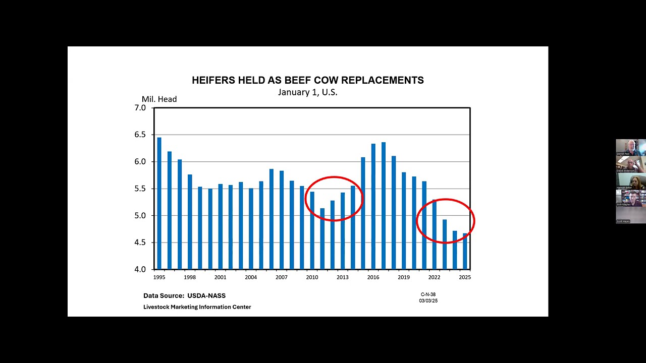WEEK 2   Differences in this Cattle Cycle & Import Dynamics