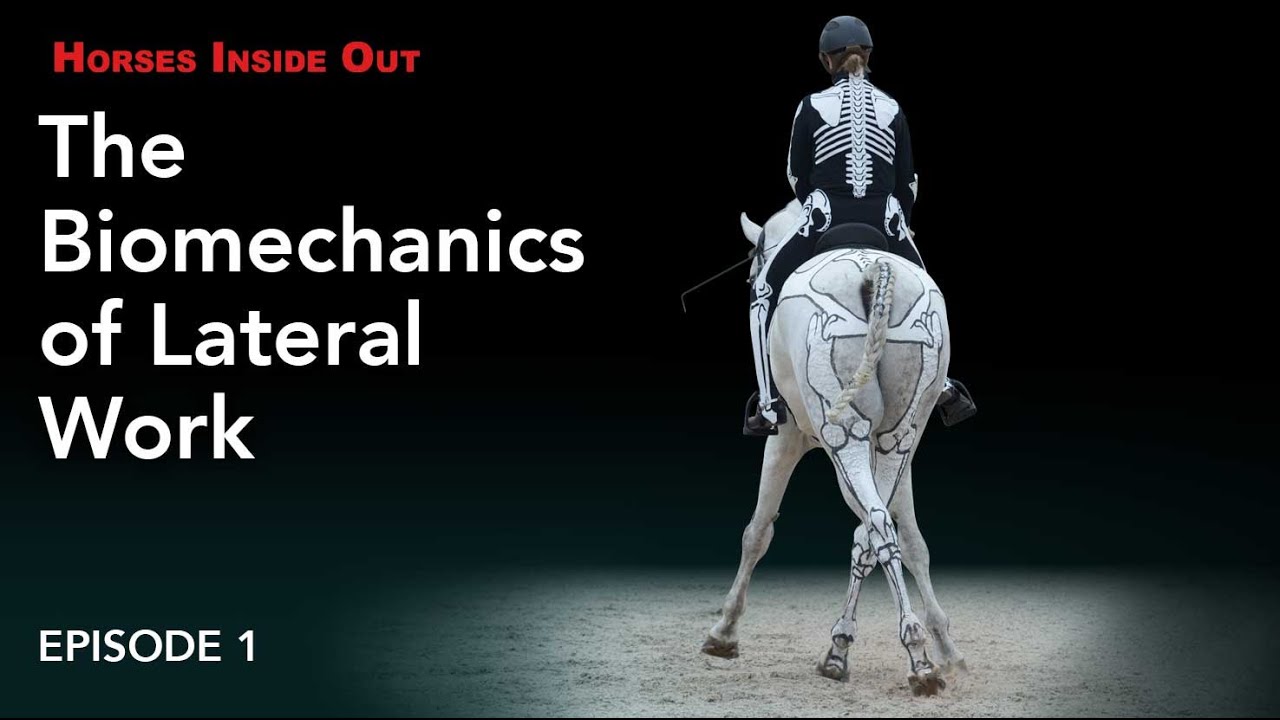 Horses Inside Out: The Biomechanics of Lateral Work