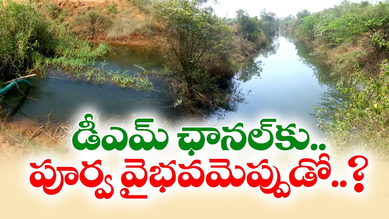 Dagadarthi-Mungamuru Canal Modernization Stalled in Nellore District | Farmers Demand Completion