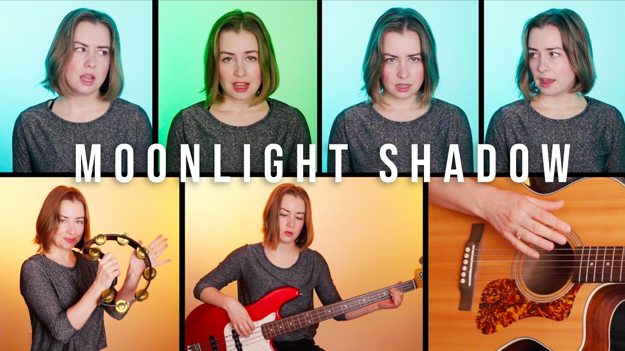 Moonlight Shadow - Mike Oldfield (Splitscreen Cover)