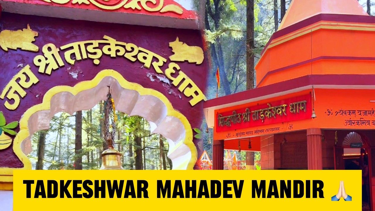 Tadkeshwar Mahadev Lansdowne 🙏🏻|| Lansdowne Ka Sabse Shant Mandir 🌿 | Vlog23