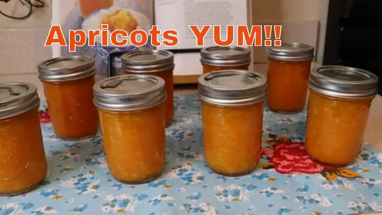 Making Apricot Jam TWO Ways with Pomona's Pectin