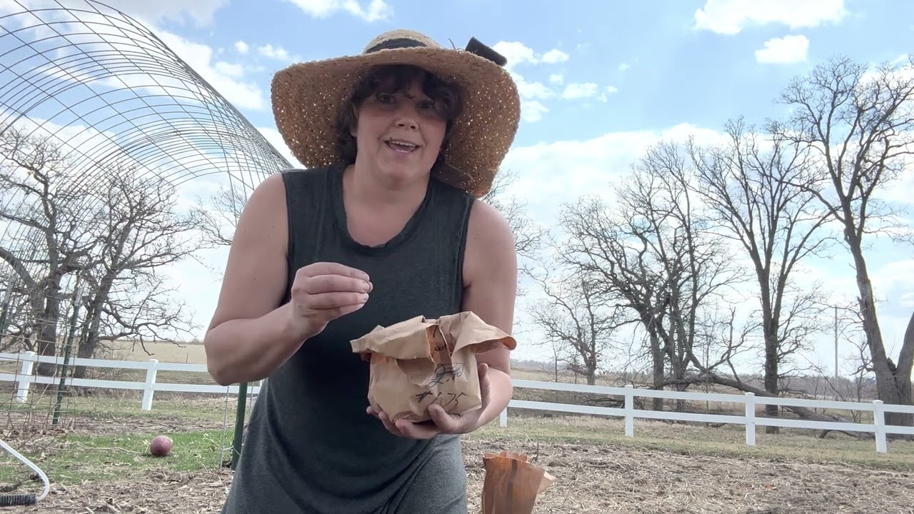 WHAT WE PLANTED IN OUR SPRING GARDEN