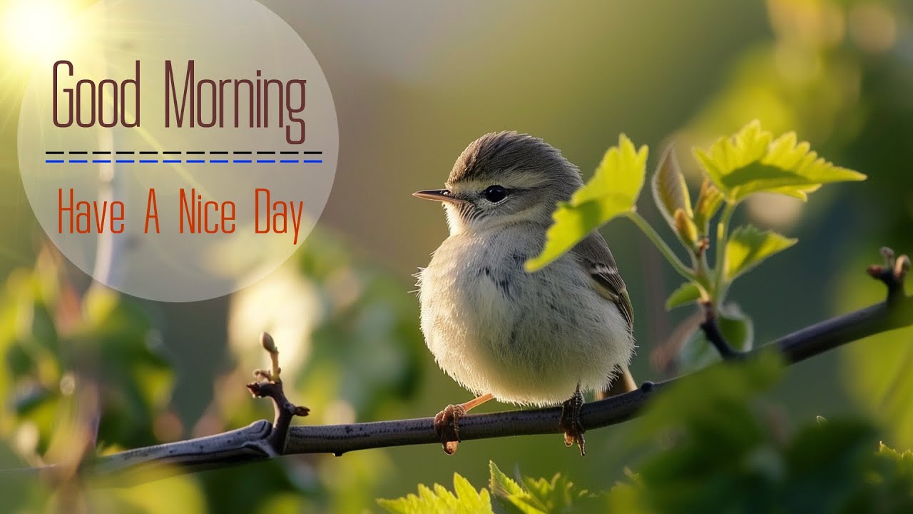 THE BEST MORNING MUSIC - Wake Up With Hope And Happin - Soft Morning Meditation Music For Relaxation