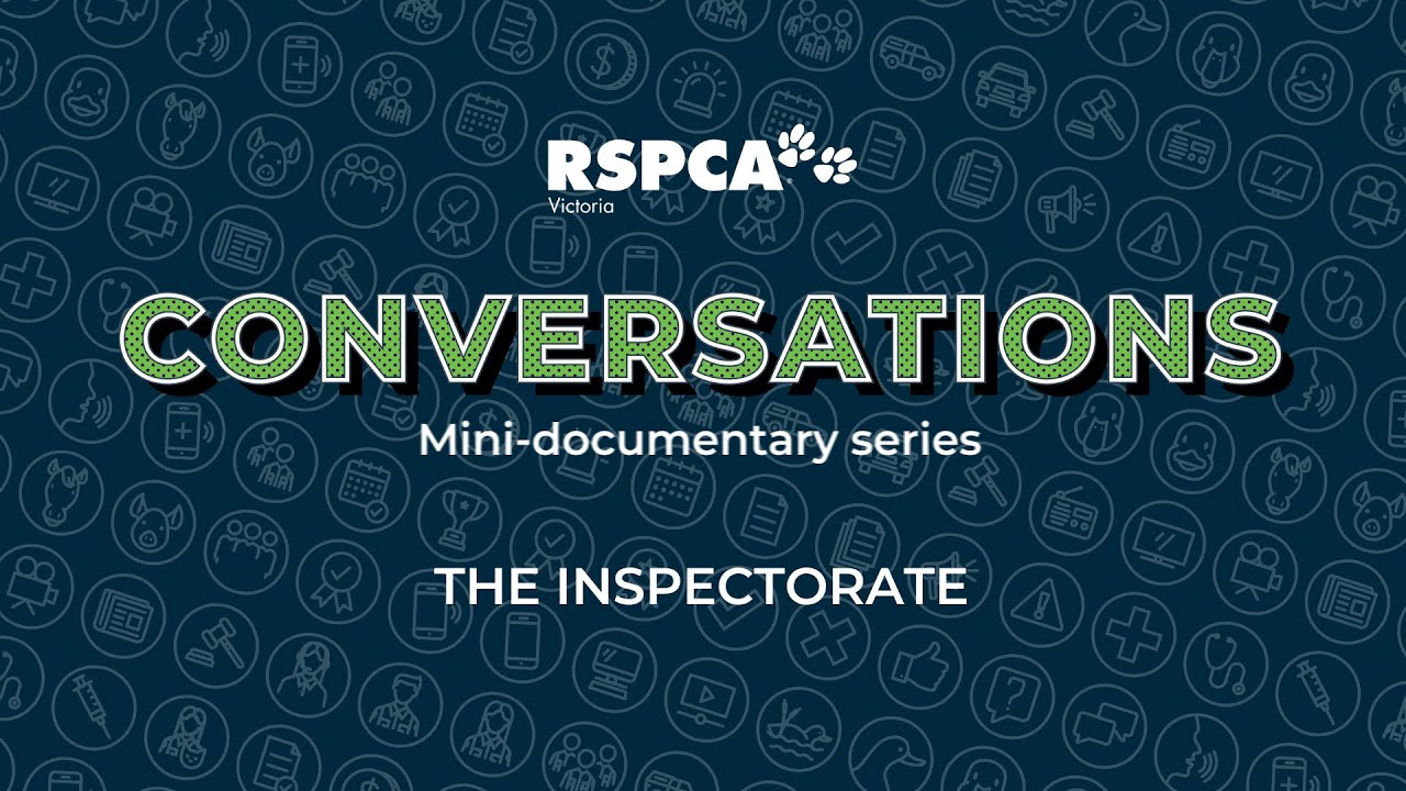 Rozmowy RSPCA Victoria | Inspektorat