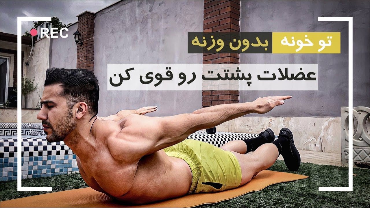 عضلات پشت (در هر مکانی انجام دهید)