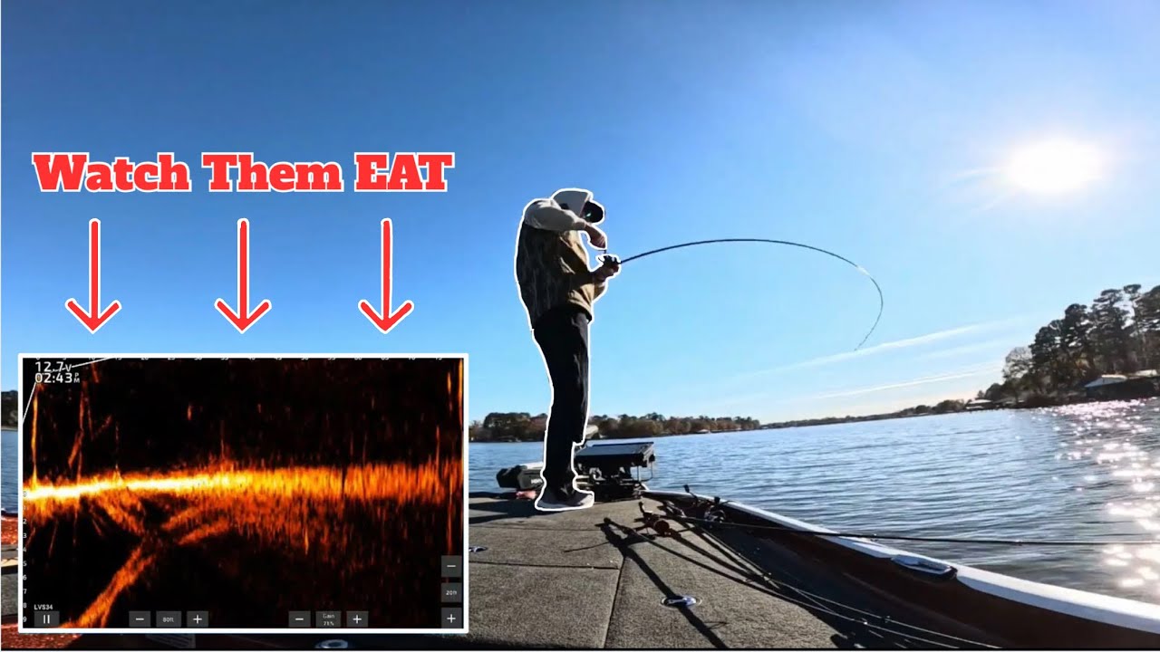 I CAUGHT EM on the Coldest Day Of The Year! (Livescope Footage)