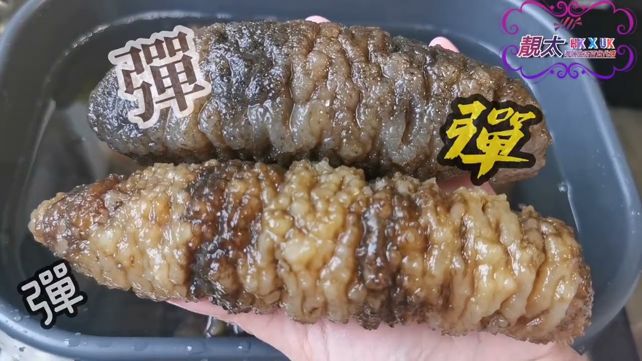 靚太手把手教大家發海參