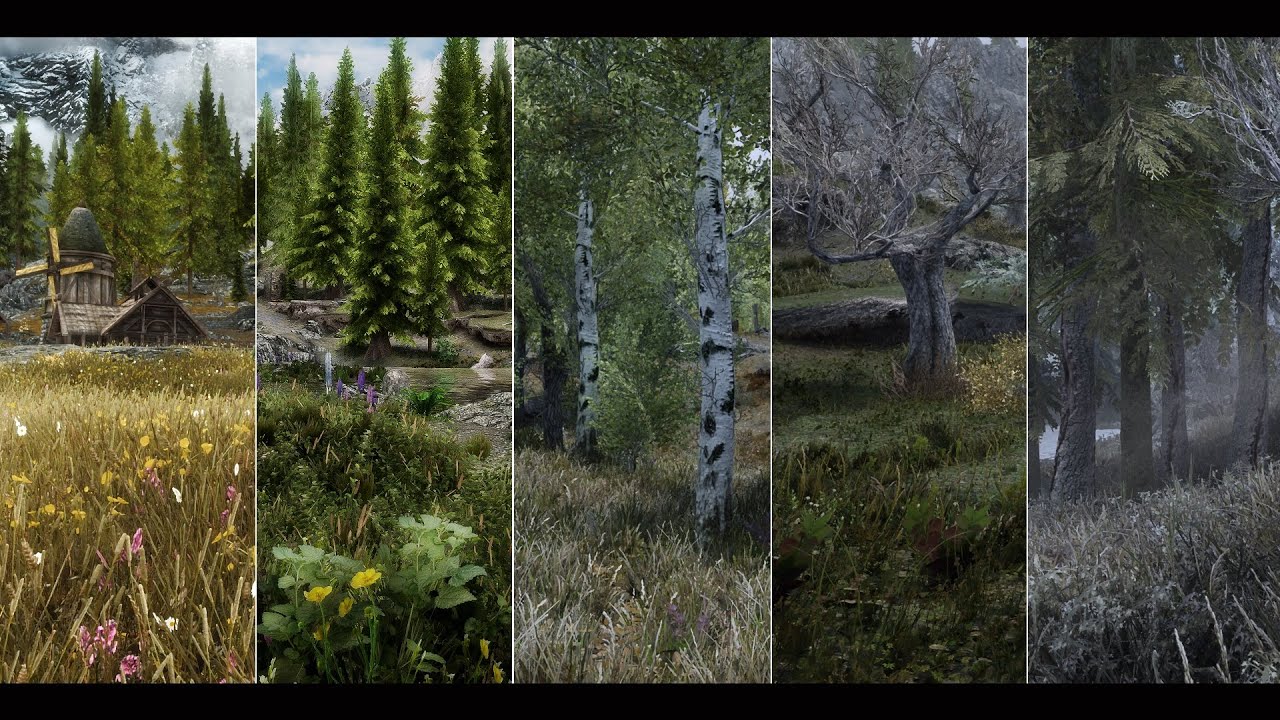 Skyrim SE - ENB Comparison (RE- Updated)