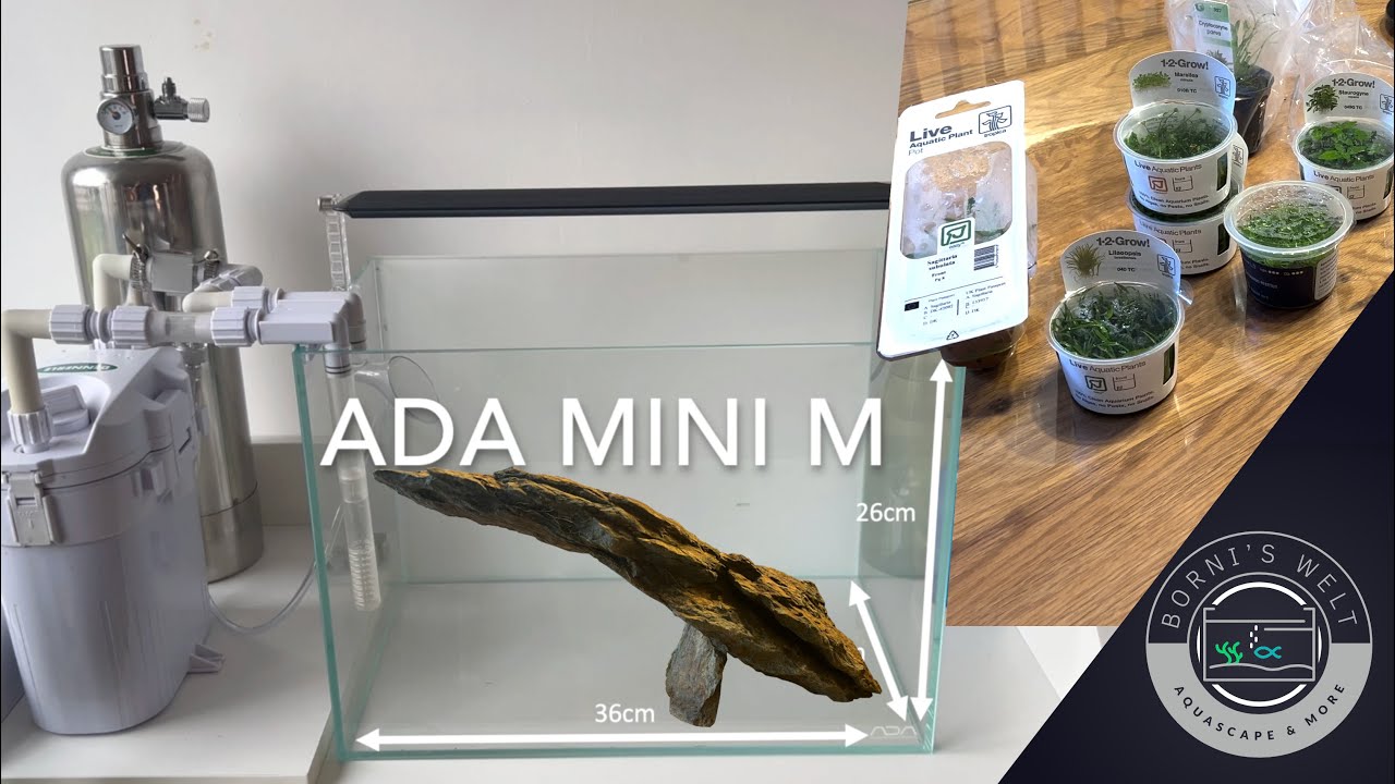 ADA Mini M 36P | Einrichtung und Gestaltung | Setup / Furnishing and design | Aquascape