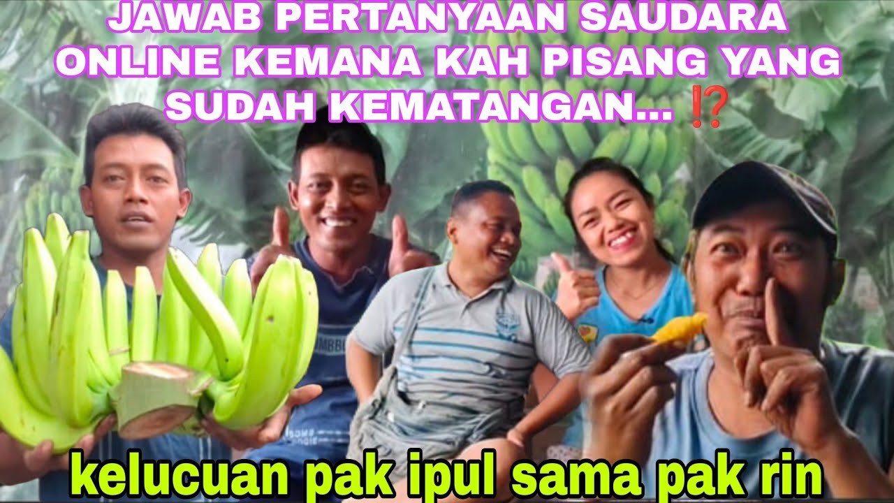 JAWAB PERTANYAAN SAUDARA ONLINE KEMANA KAH PISANG YANG SUDAH KEMATENGEN... ⁉️