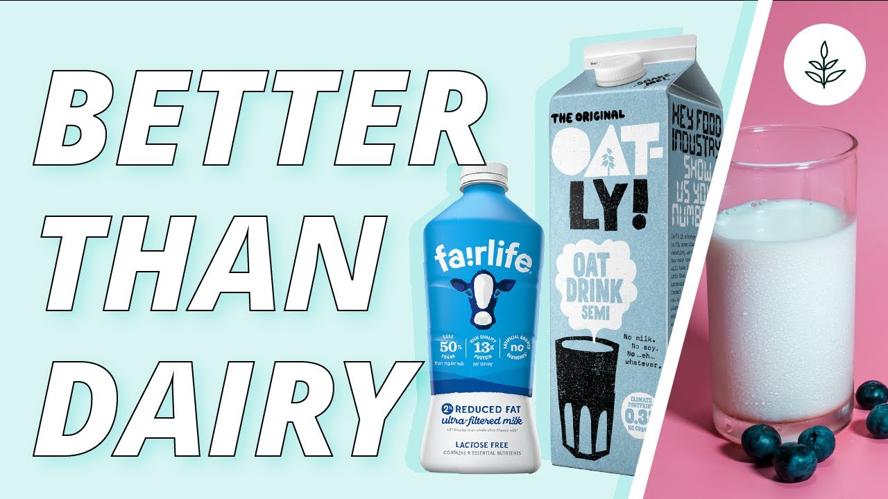 TOP 10 VEGAN MILKS Better Than DAIRY | LIVEKINDLY