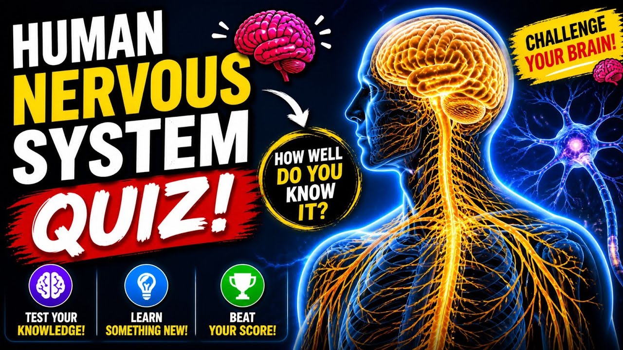 Human Nervous System Quiz- Perfect Exam Review for Students