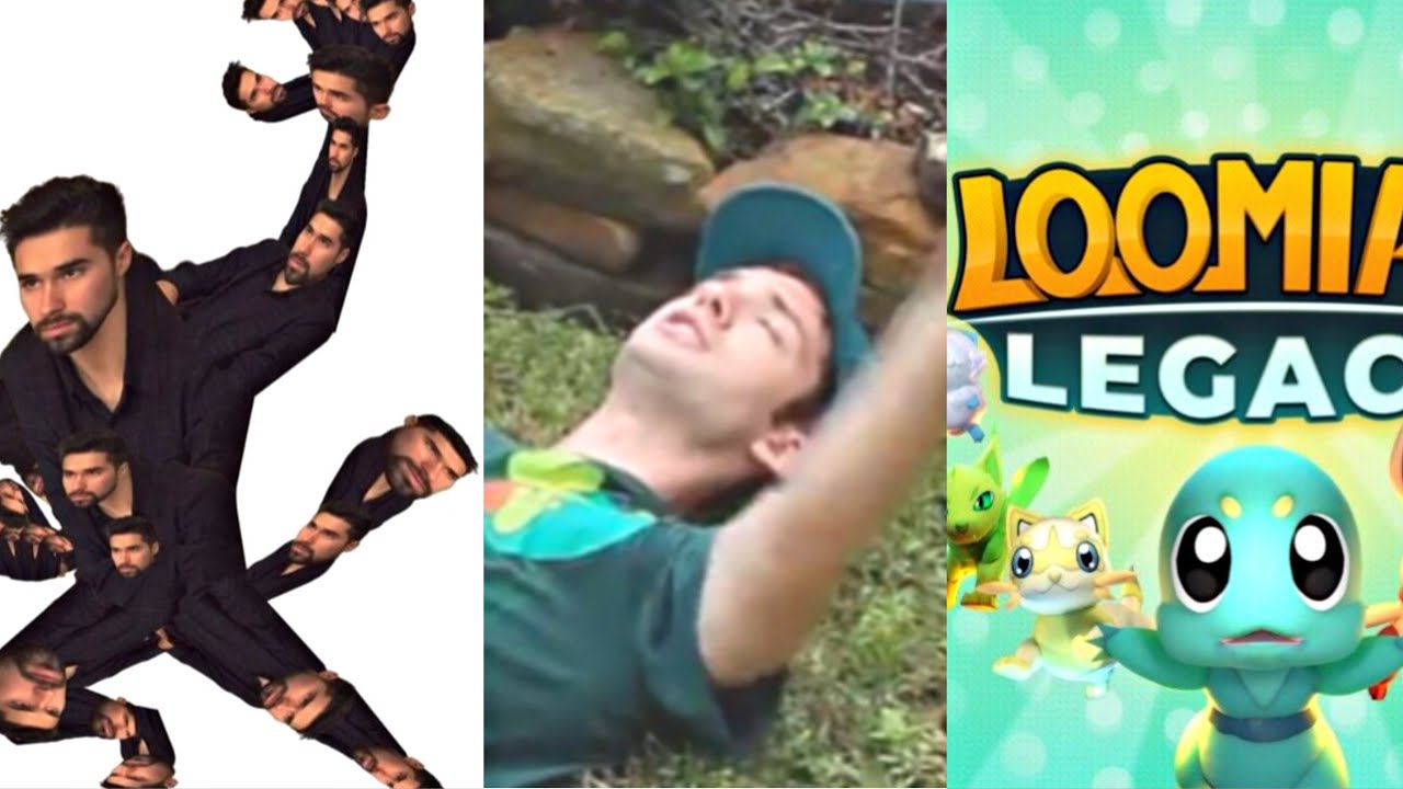 Types of Pokemon Fans