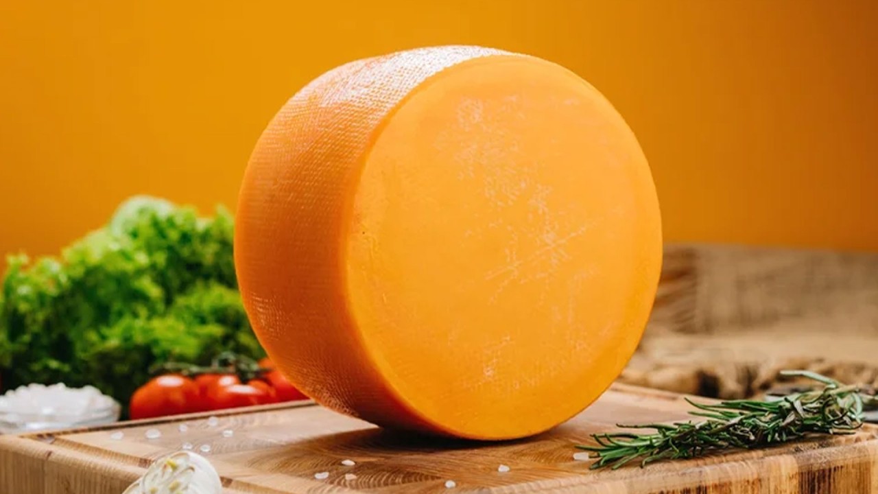 r/Topposts Я потратил 18 000 долларов на сыр