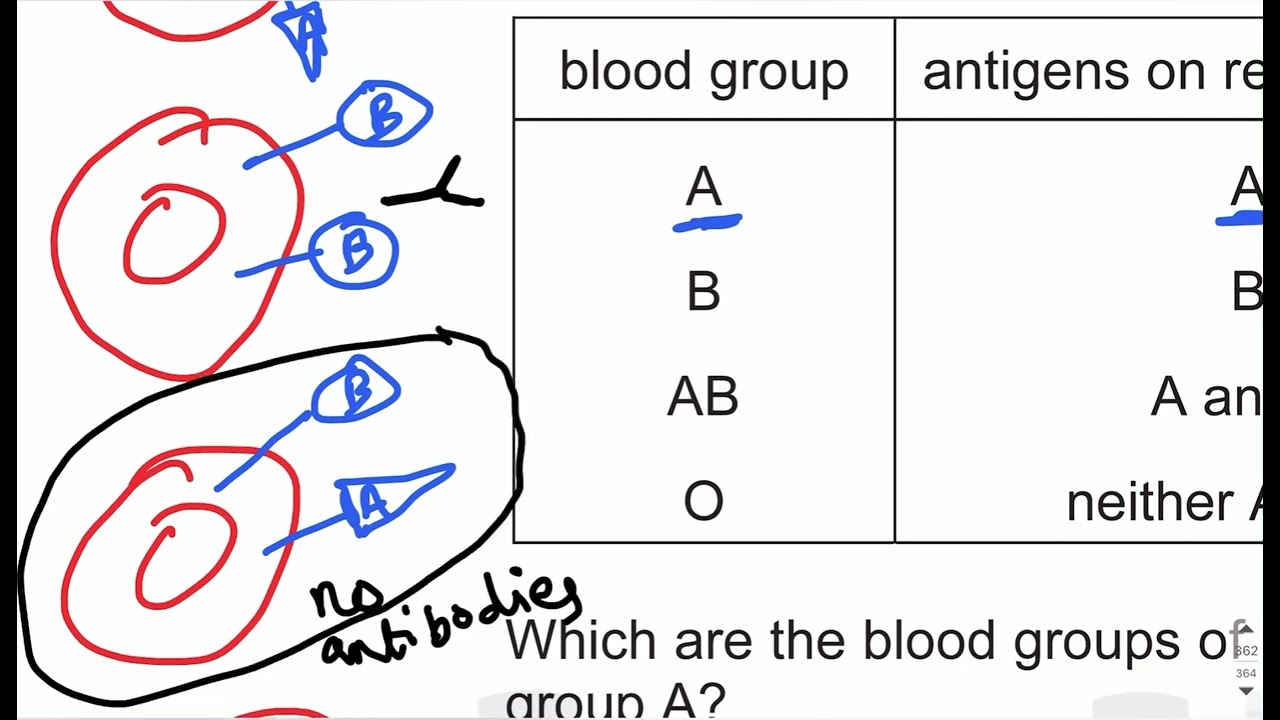 Immunity MCQs part 1 - AS Level Biology
