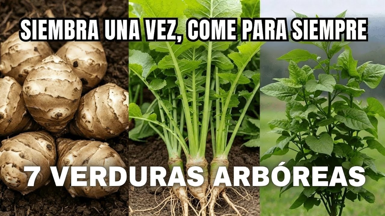 ¡7 Vegetales que son ÁRBOLES! Planta Una Vez y Cosecha para Siempre