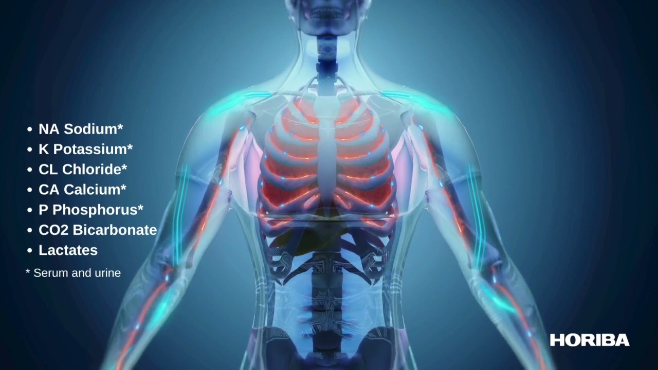 Yumizen C Disease & Test Panels - HORIBA Clinical Chemistry